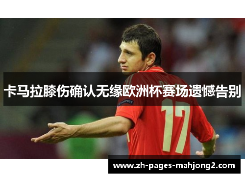 卡马拉膝伤确认无缘欧洲杯赛场遗憾告别